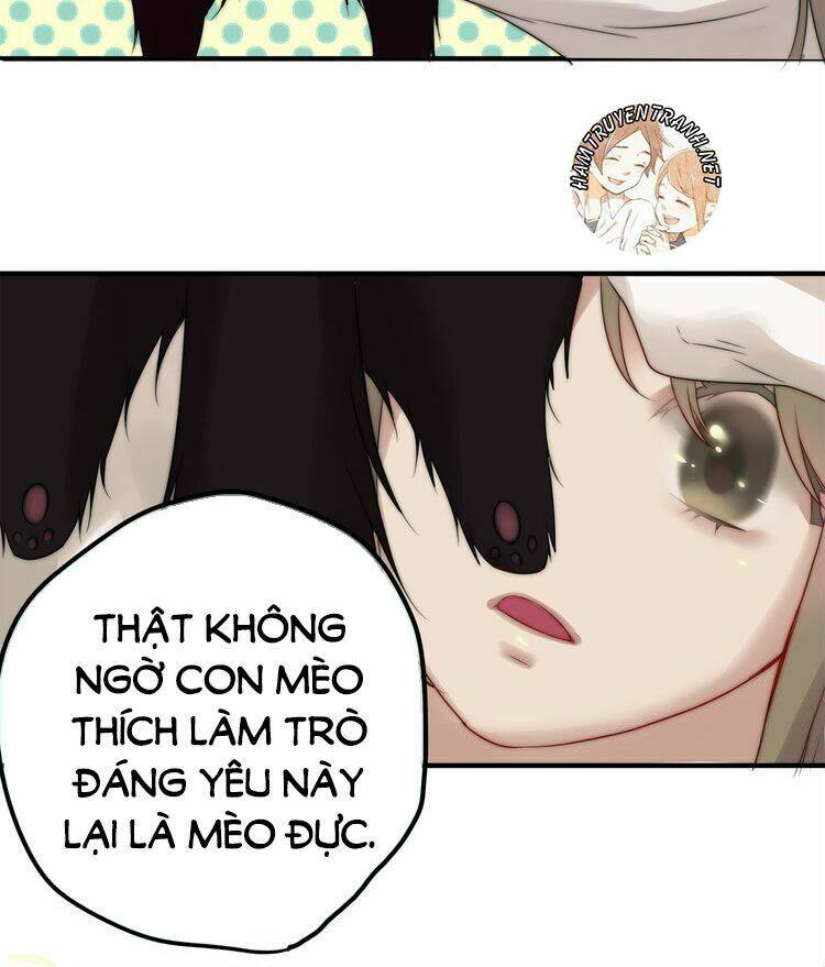 Viện Bảo Tàng Tâm Nguyện: Chapter 2.1