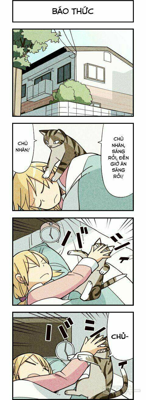 We Are Cat: Chapter 7