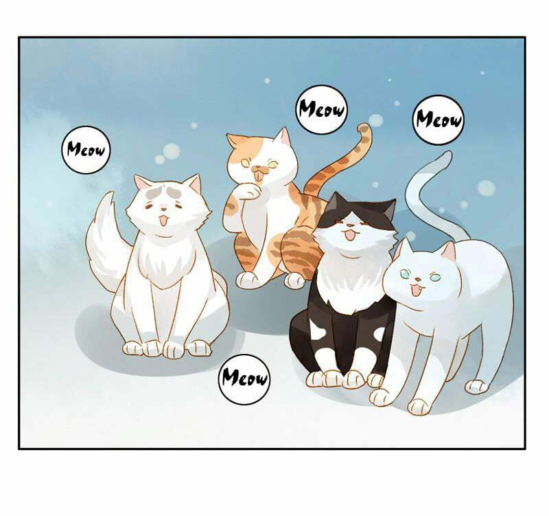 Sức Mạnh Của Sắc Đẹp: Chapter 176