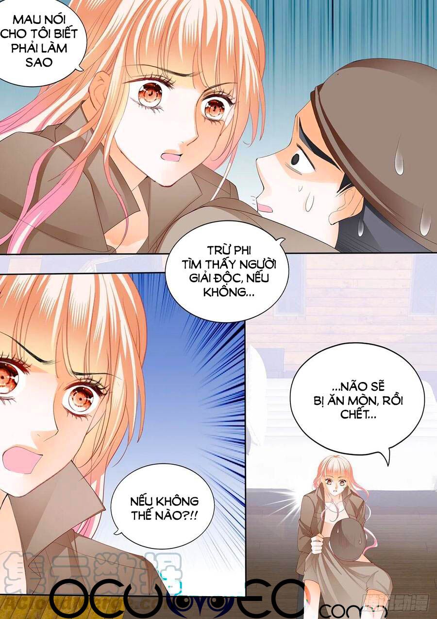 Bá Đạo Tiểu Thúc, Xin Trêu Chọc Vừa Thôi!: Chapter 249