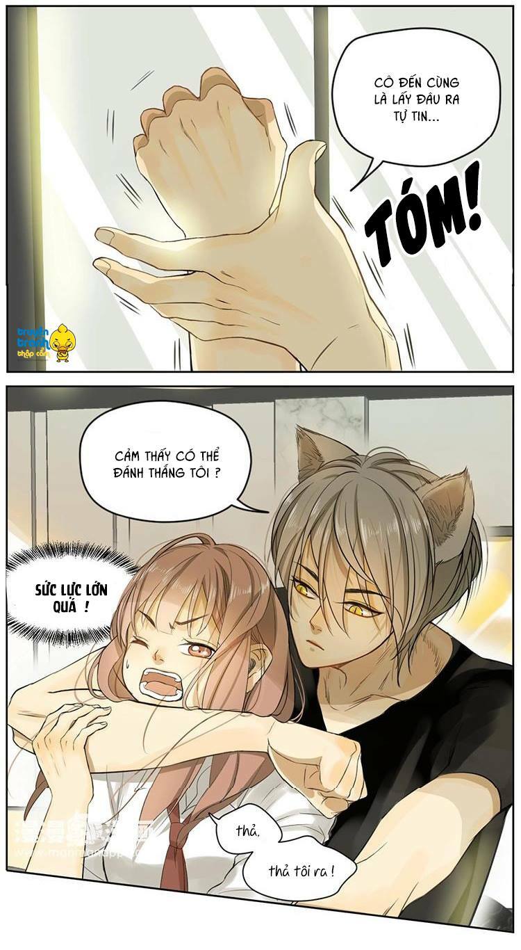 Cứu mạng ! Loài mèo thống trị thế giới rồi !: Chapter 4