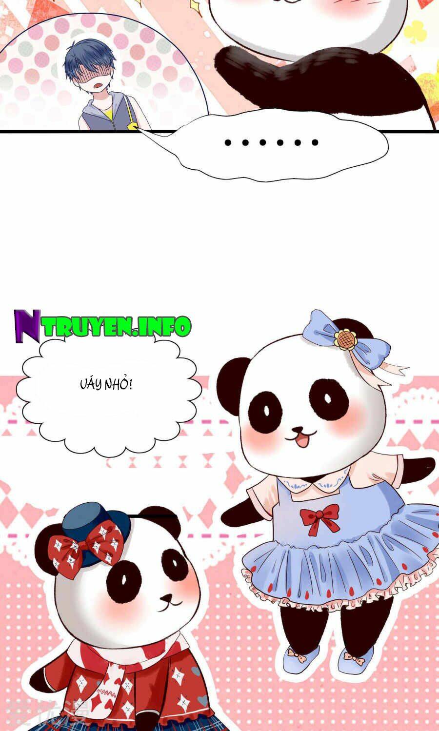 Tôi Bị Gấu Trúc Nhìn Trúng Rồi: Chapter 1