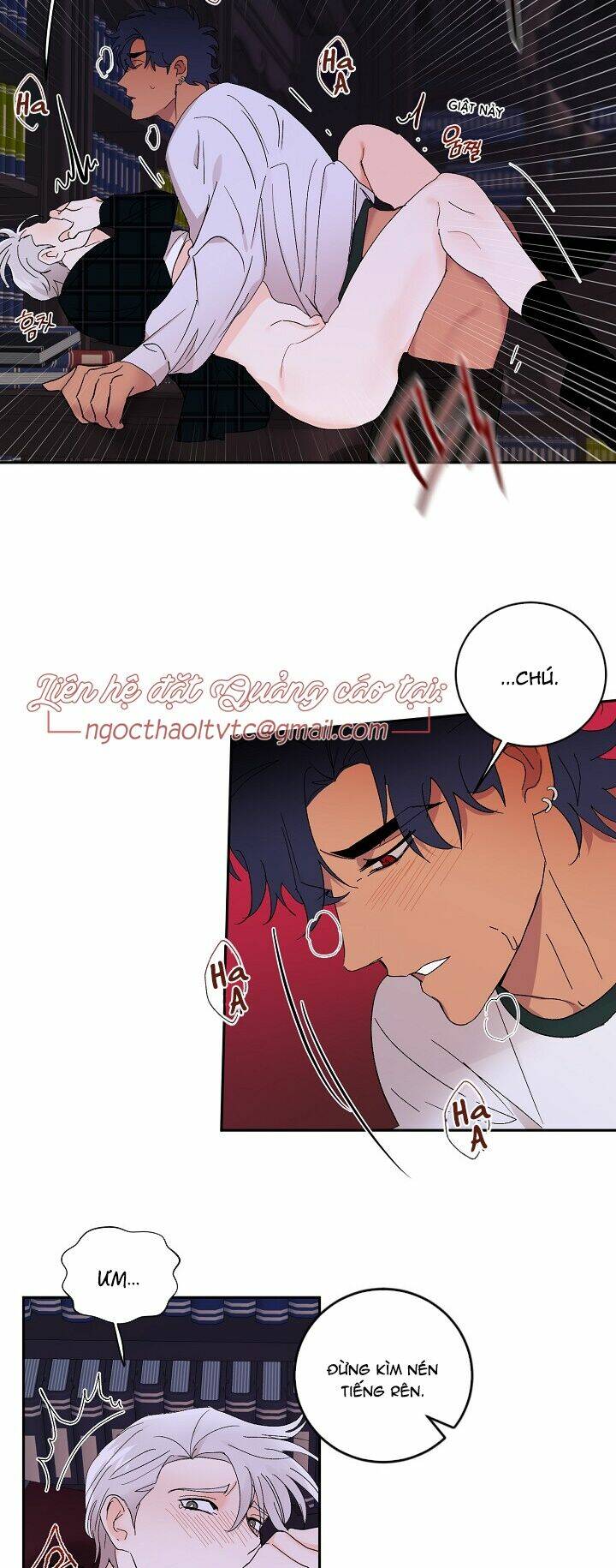 Kẻ Cắp Mặt Trăng: Chapter 17