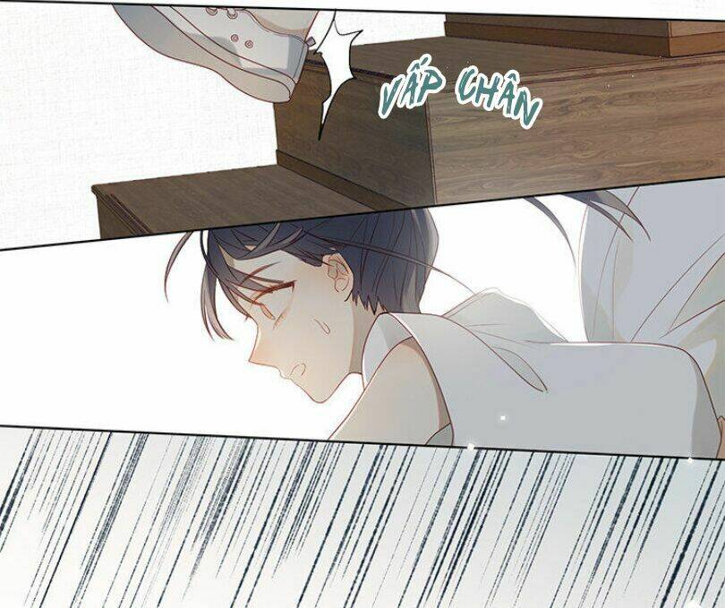 Lời Thề Như Sương Triều: Chapter 8