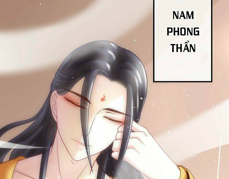 Báo Cáo Vương Gia, Vương Phi Là Một Con Mèo: Chapter 4