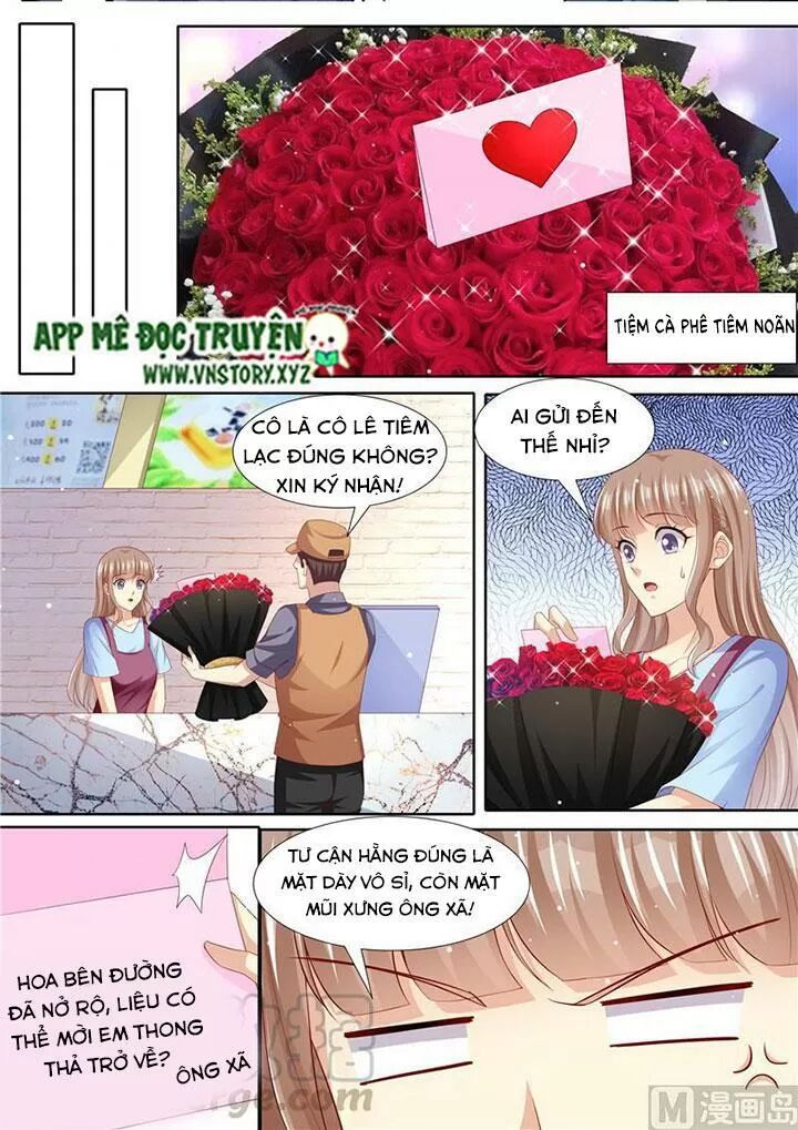 Cưng Chiều Vợ Yêu: Chapter 268: Chỉ có một