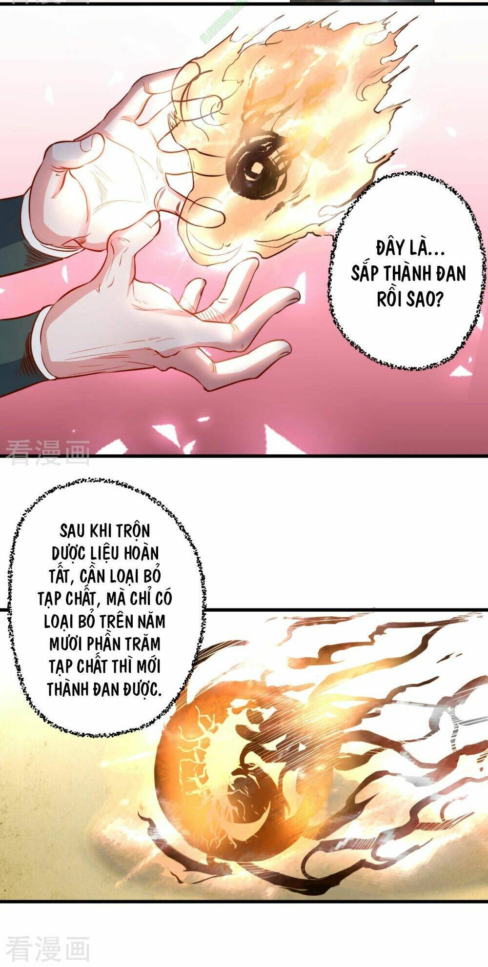 Tối Cường Đại Biểu Hoàng Kim Thận: Chapter 10