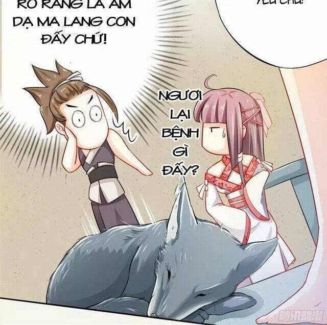 Tuyệt Thế Luyện Đan Sư: Chapter 17