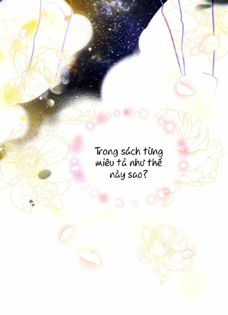 Nàng Elizabeth Thuần Khiết: Chapter 2