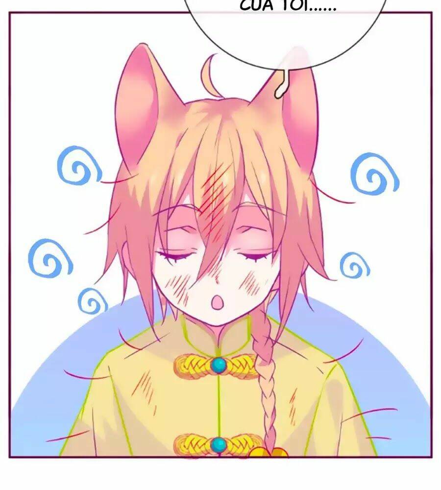 Đừng Nghịch, Ta Chỉ Muốn Yên Tĩnh: Chapter 63