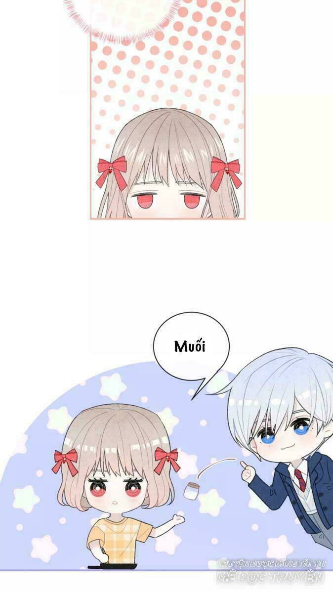 Từ Cái Nhìn Của Em: Chapter 31