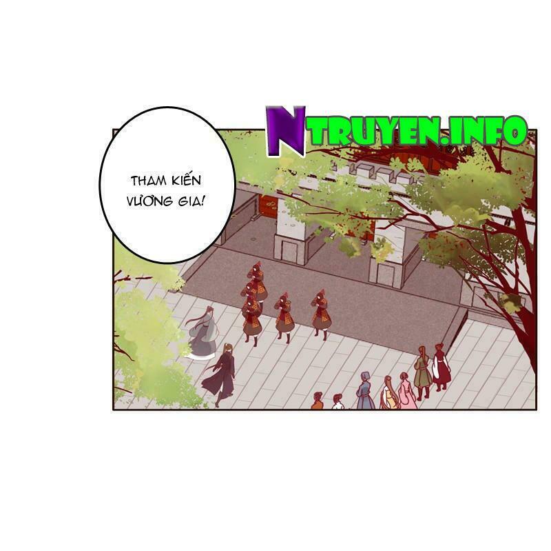 Thông Linh Phi: Chapter 267