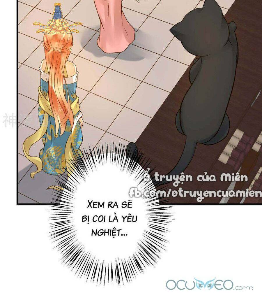 Quý Phi Này Có Chút Cơ: Chapter 19