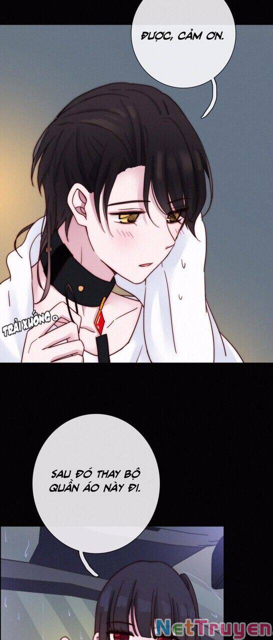 Hắc Dạ Hữu Sở Tư: Chapter 50.1