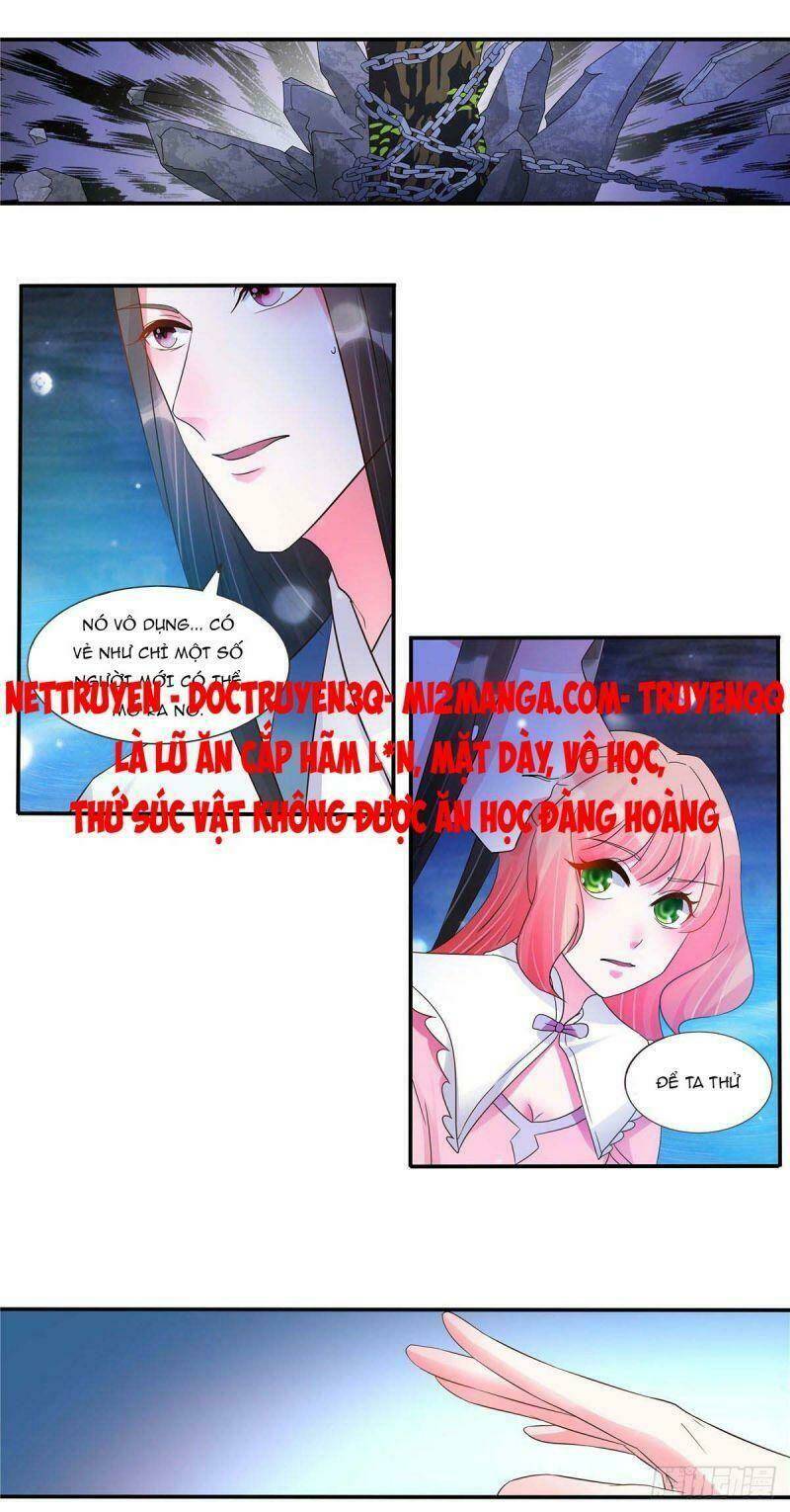 Đặc Công Cuồng Phi: Tuyệt Thế Tu Chân: Chapter 22