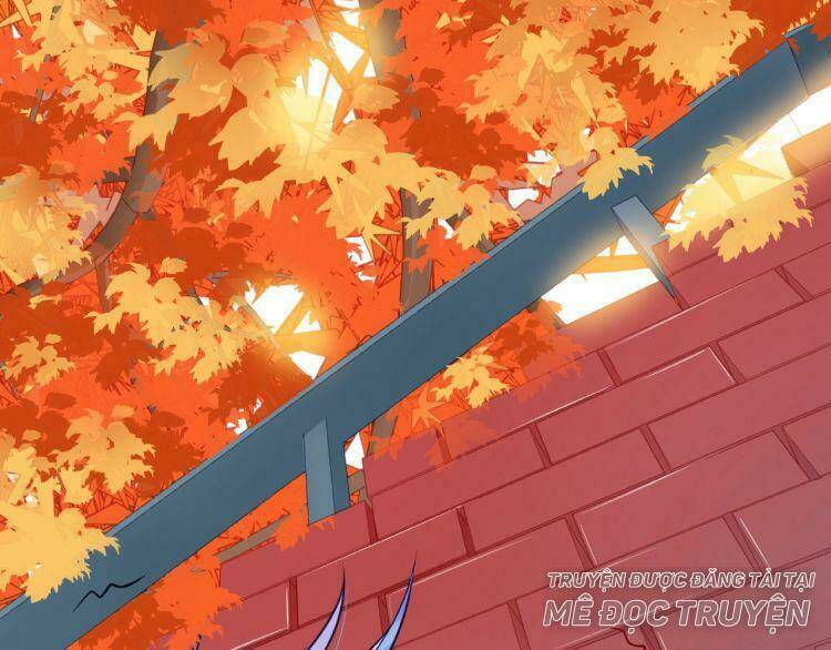 Giai Điệu Của Sự Va Chạm: Chapter 55