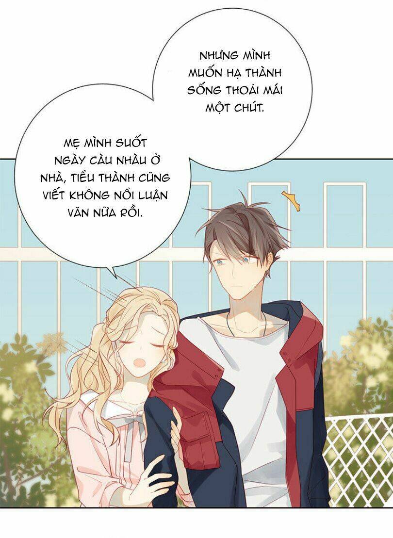 Lời Thề Như Sương Triều: Chapter 5