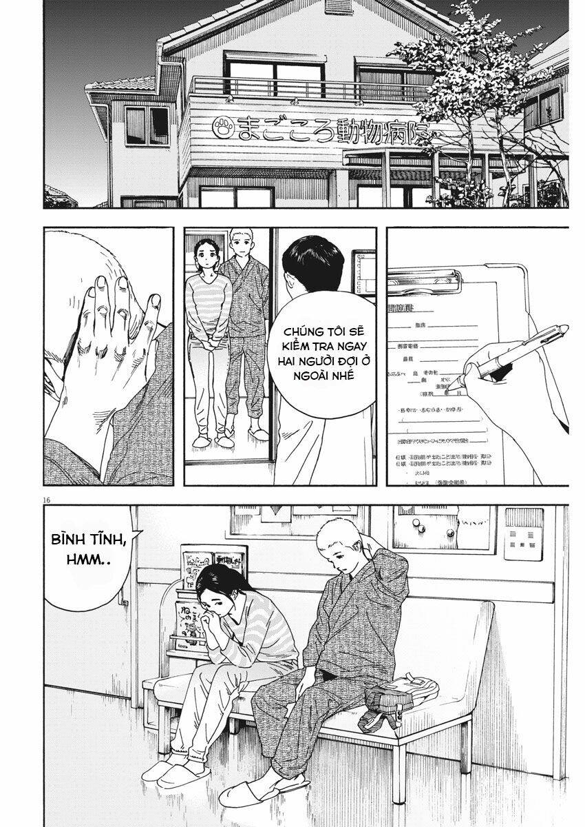 Neko No Otera No Chion-San: Chapter 75