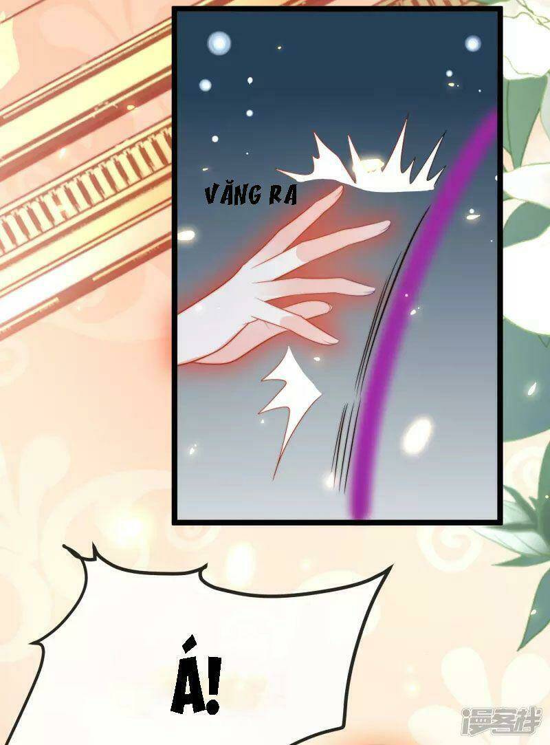Sủng Hậu Của Vương: Chapter 117
