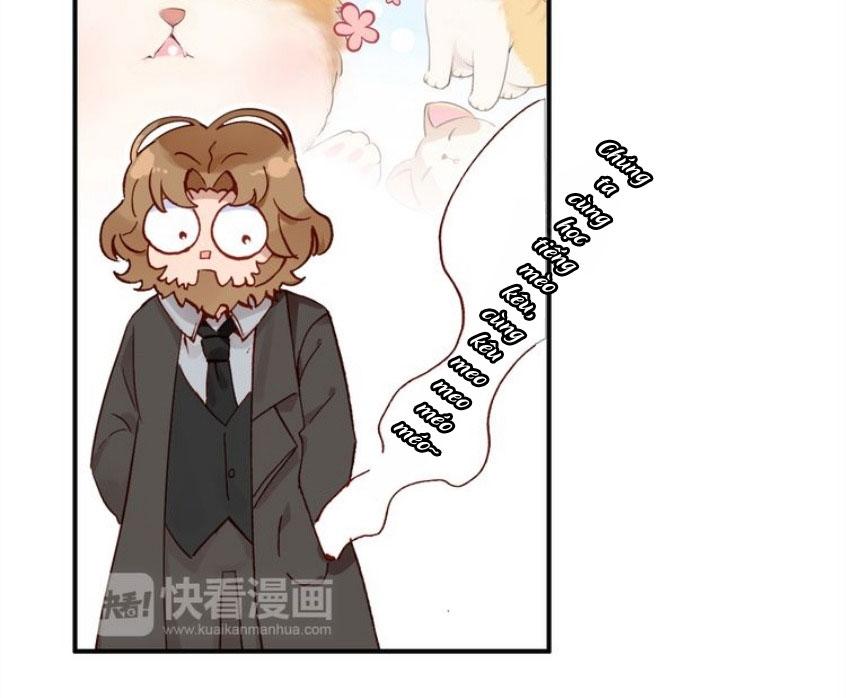 Ái Ngạo Kiều Long Vương Gia: Chapter 11