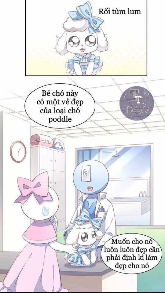 Dưới Móng Vuốt Mèo: Chapter 17