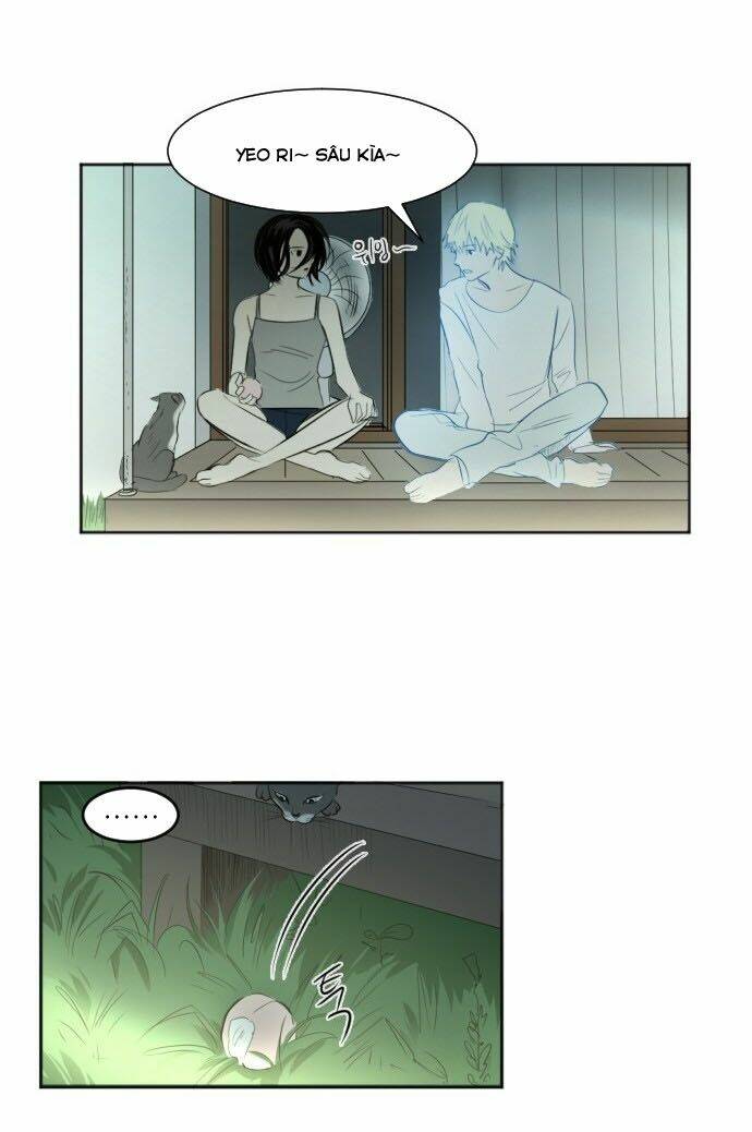 Transparent Cohabitation: Chapter 31