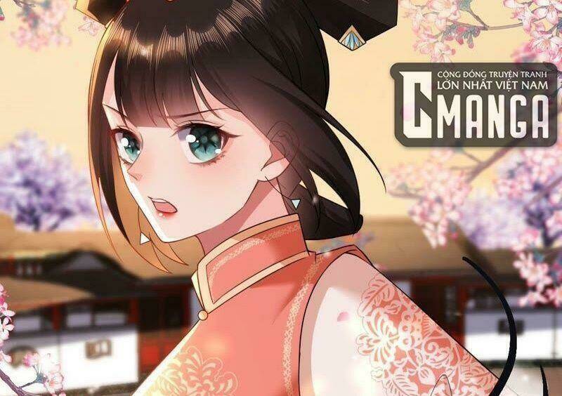 Quận Chúa Vững Vàng, Thiết Lập Nhân Vật Không Thể Vỡ: Chapter 59