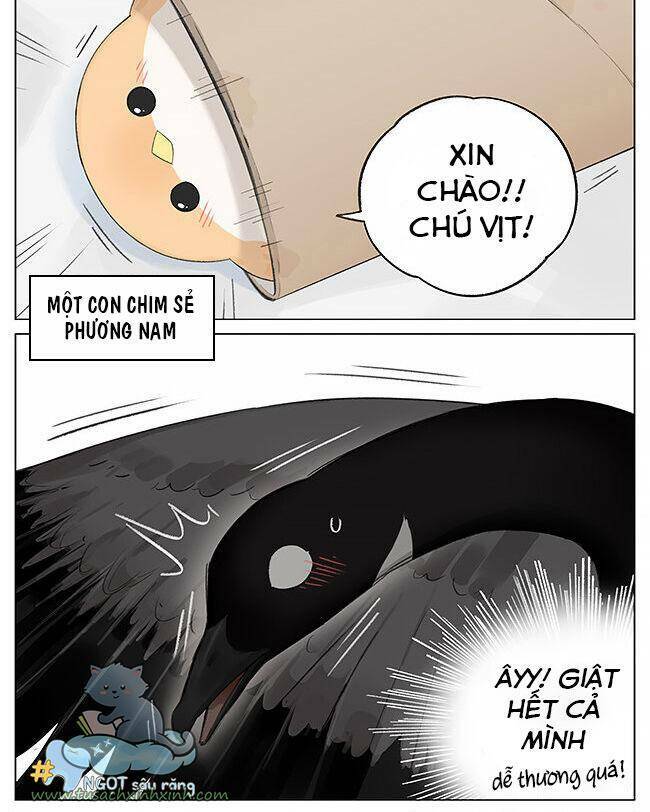 Chim Sẻ Gọi Ngỗng Trời: Chapter 3