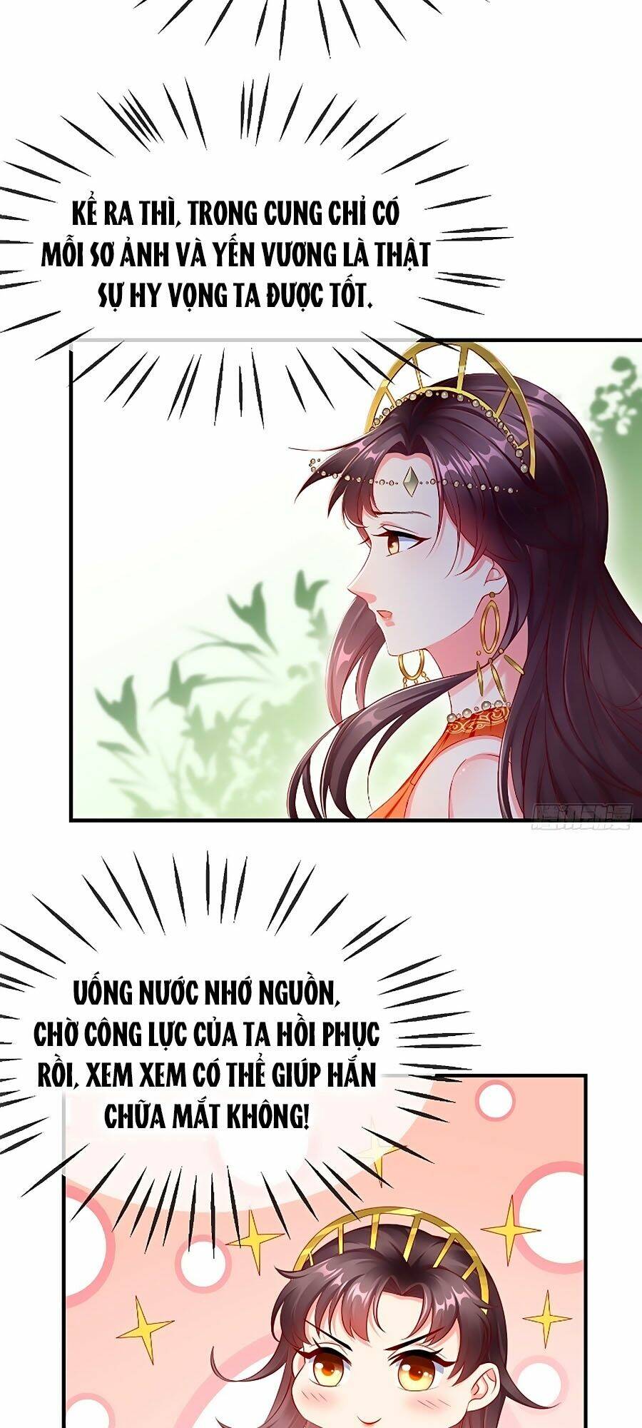 Vương Phi Là Đoá Bạch Liên Hoa: Chapter 11