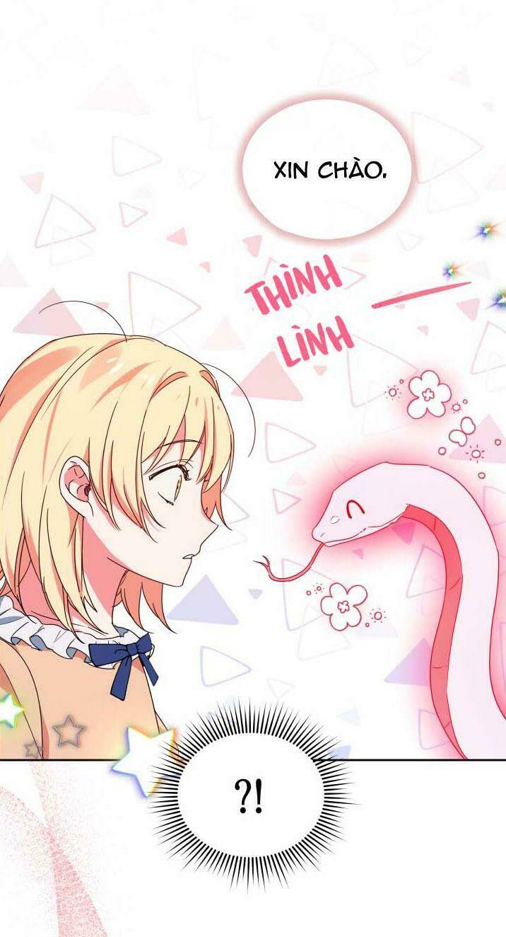 Nàng Elizabeth Thuần Khiết: Chapter 6