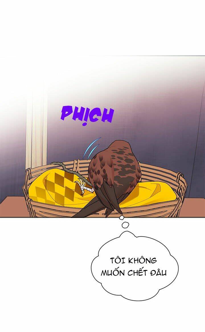 Công Chúa Của Loài Chim: Chapter 18