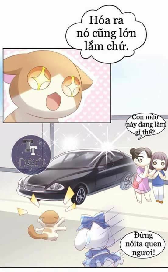 Dưới Móng Vuốt Mèo: Chapter 7