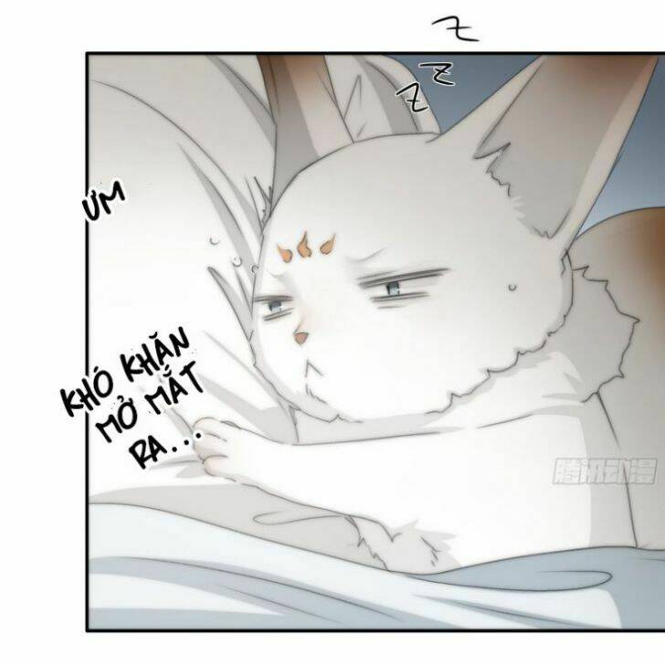 Nguyệt Trụy Trọng Minh: Chapter 19