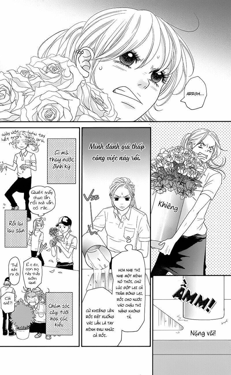 Đóa Hoa Năm Ấy: Chapter 1