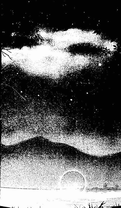 Chuyện Tình Đảo Thiên Đường: Chapter 10