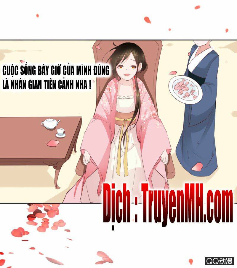 Solo Đi Vương Gia: Chapter 11