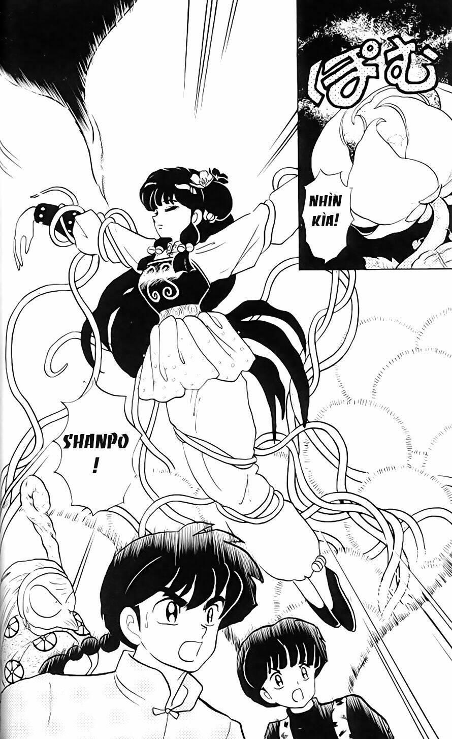 Suối Lời Nguyền: Chapter 305