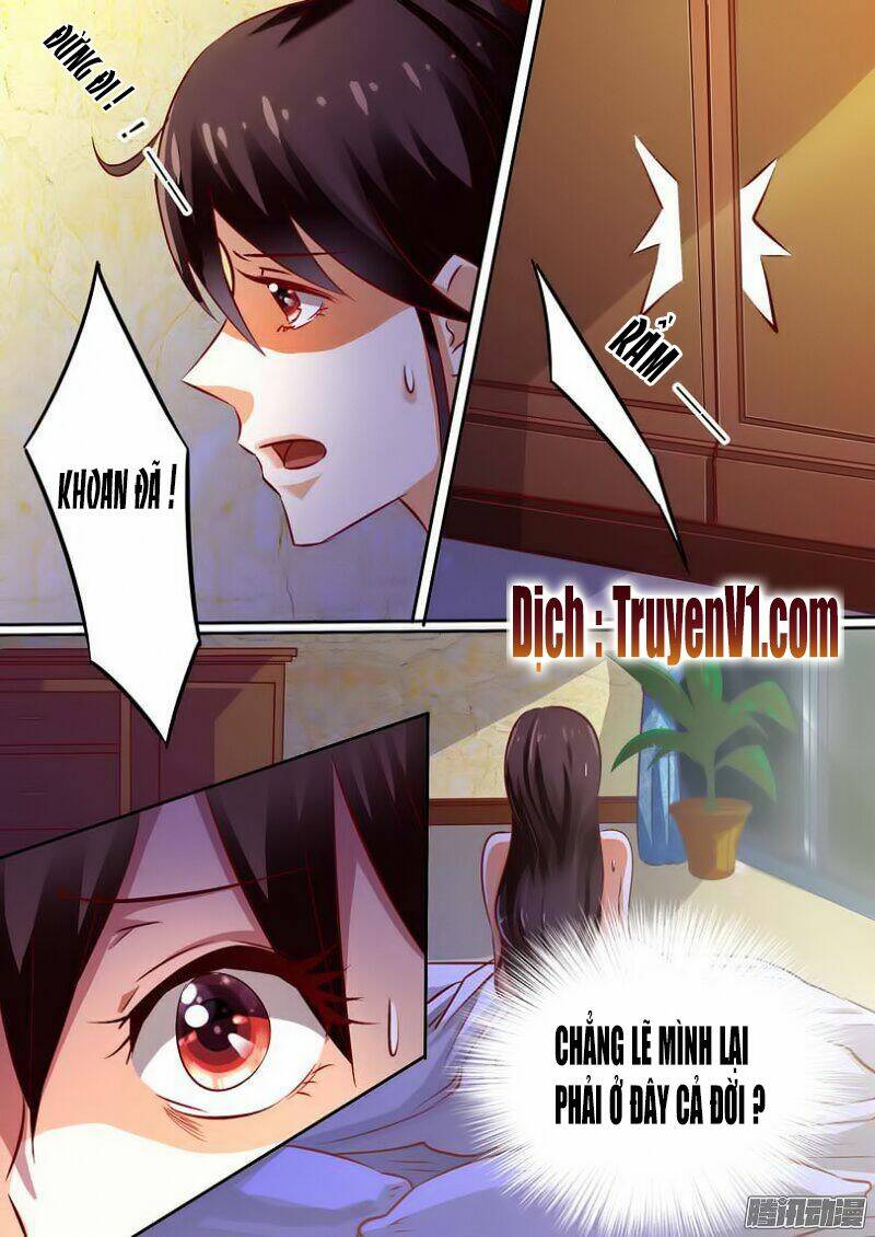 Hào Môn Tiểu Lão Bà: Chapter 17