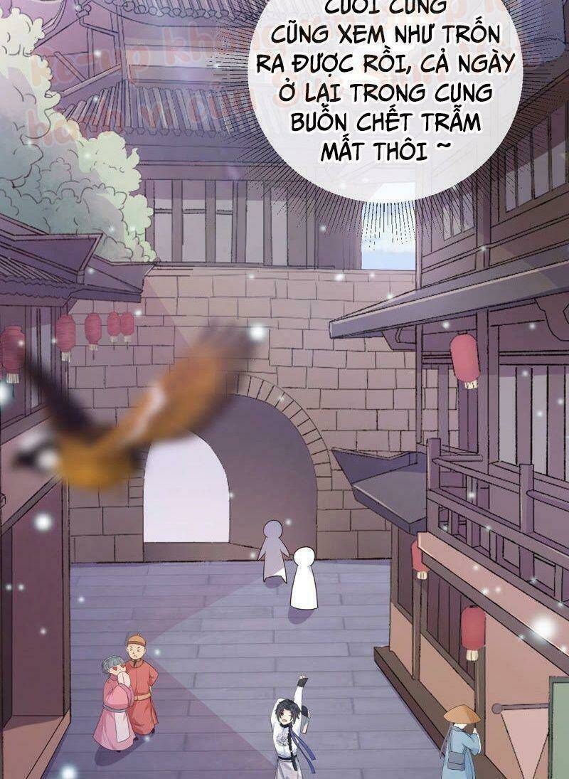 Quận Chúa Vững Vàng, Thiết Lập Nhân Vật Không Thể Vỡ: Chapter 1