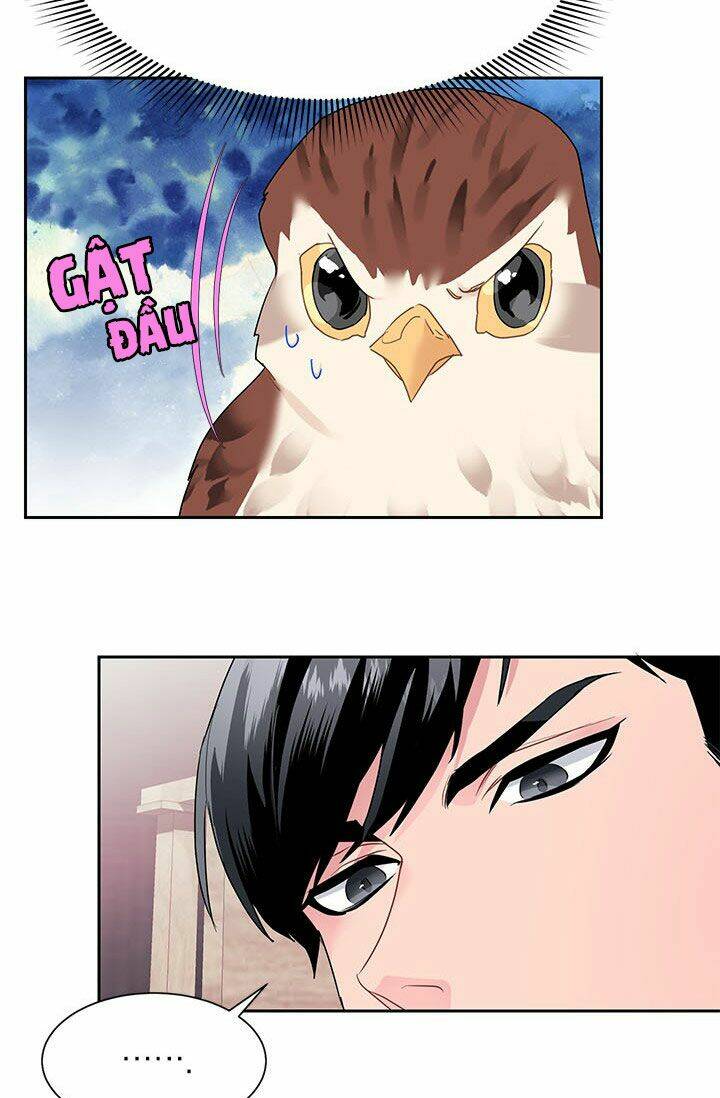 Công Chúa Của Loài Chim: Chapter 8