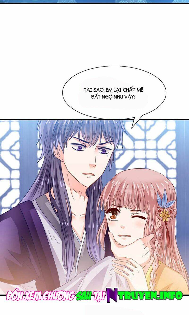 Tôi Bị Gấu Trúc Nhìn Trúng Rồi: Chapter 24