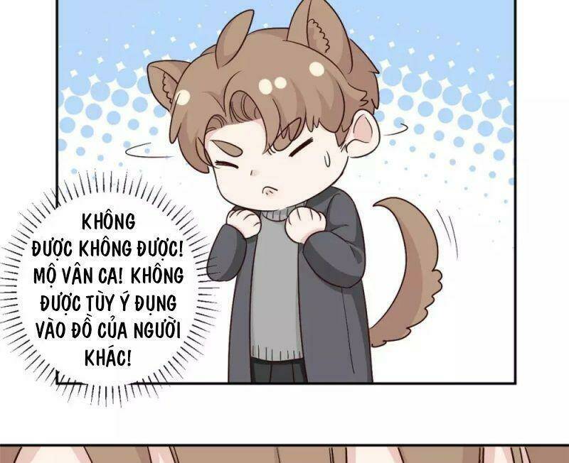 Tổng Tài, Tránh Xa Tôi Ra: Chapter 61