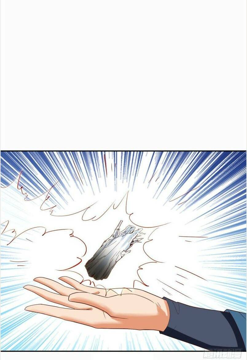 Chí Tôn Trọng Sinh: Chapter 210