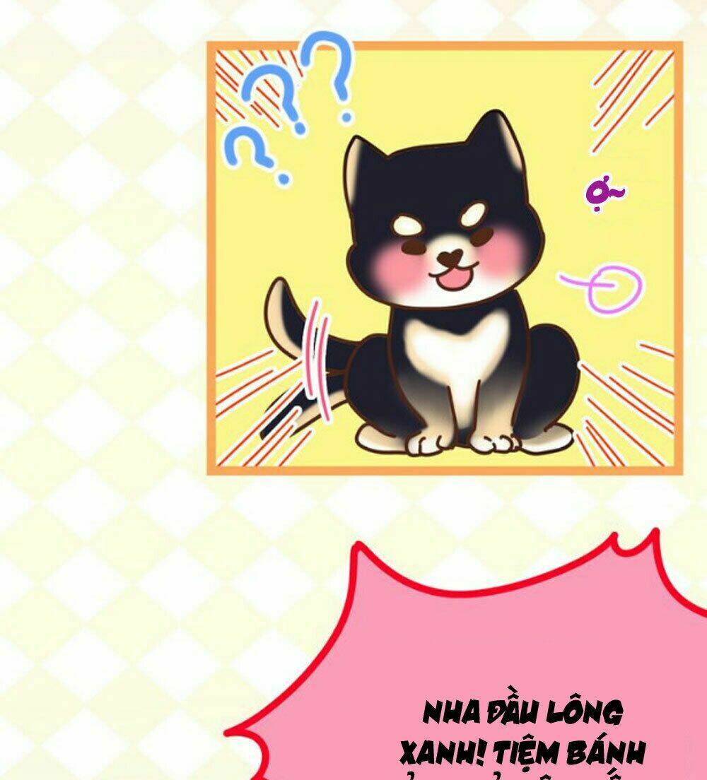 Tháng Sáu Không Hẹn Mà Gặp: Chapter 11