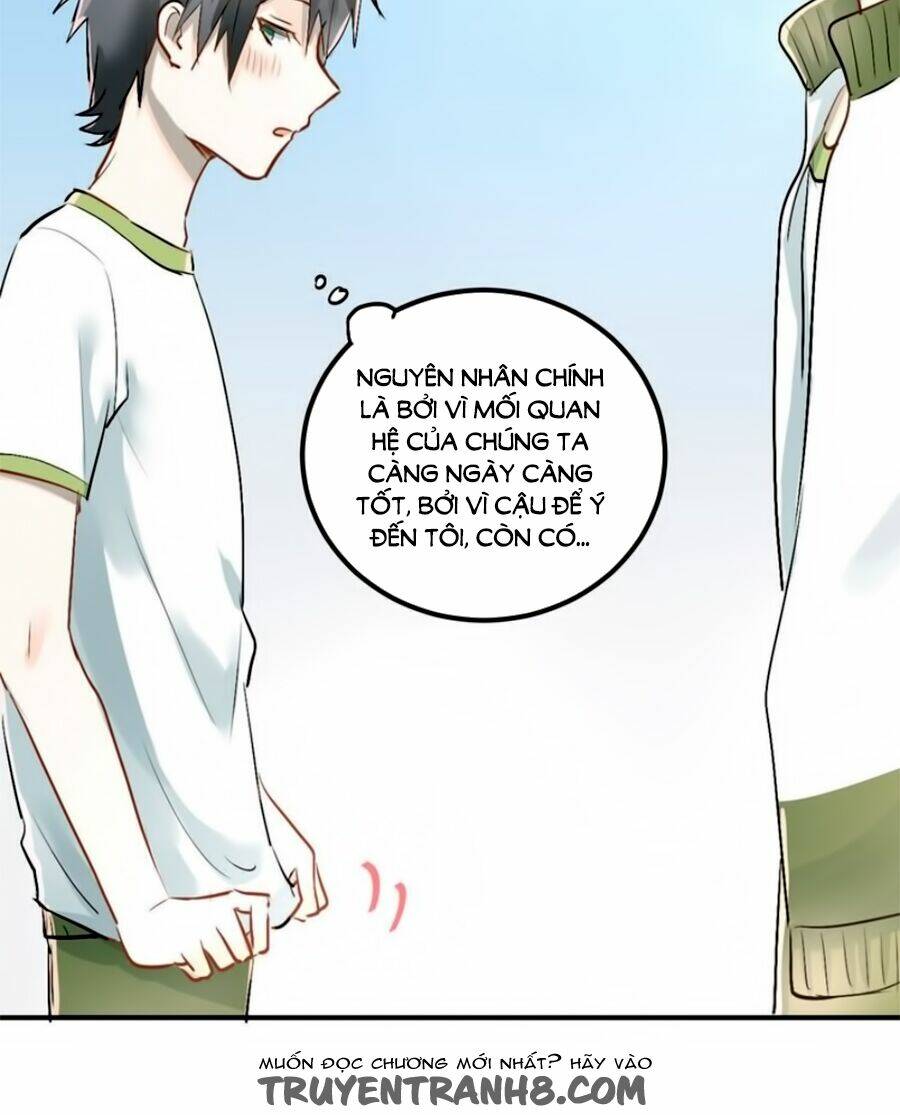 Đầu Gấu Biết Yêu: Chapter 11