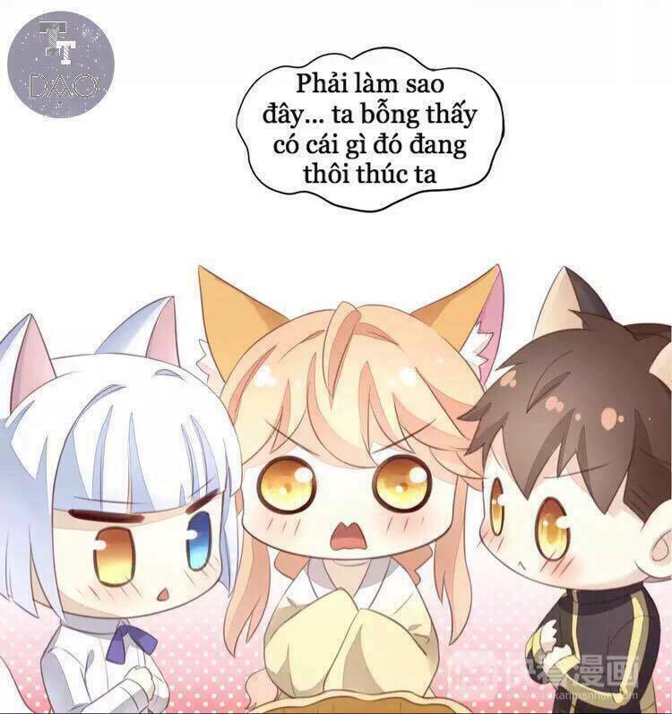 Dưới Móng Vuốt Mèo: Chapter 18