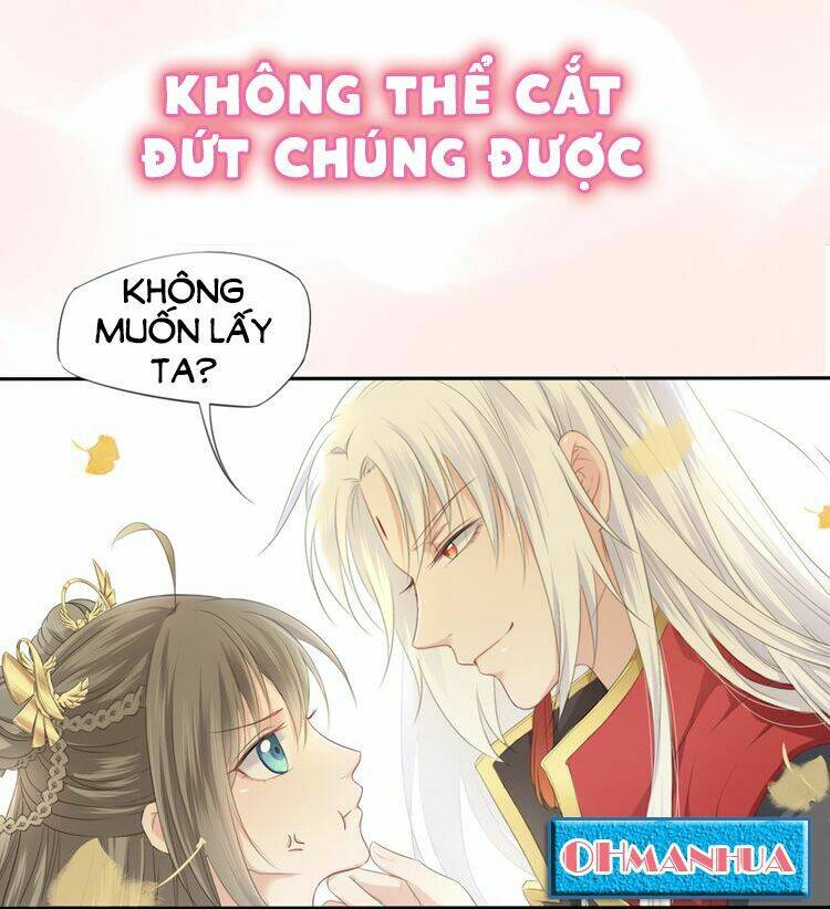 Tước Kiều Tiên: Chapter 0