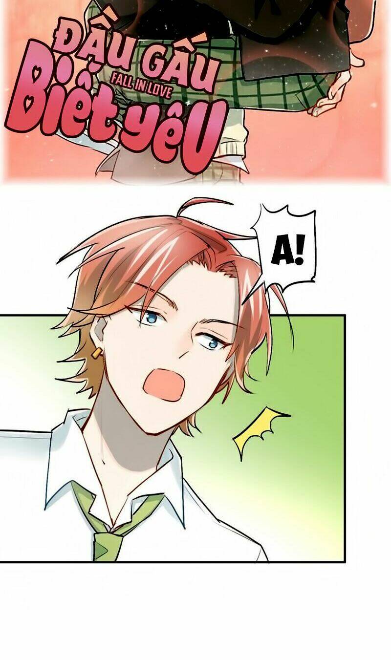 Đầu Gấu Biết Yêu: Chapter 28