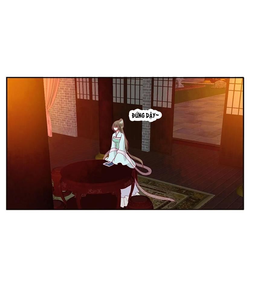 Thông Linh Phi: Chapter 608