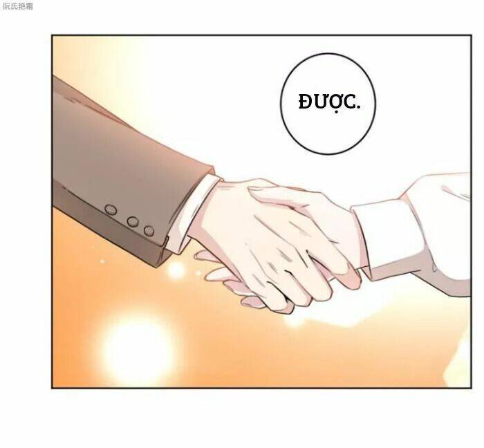 Trọng Sinh Noãn Hôn Khinh Sủng Thê: Chapter 11